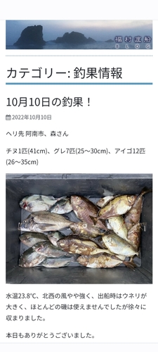 チヌの釣果