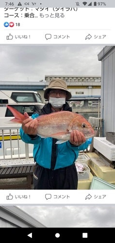 マダイの釣果