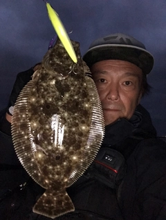 ヒラメの釣果