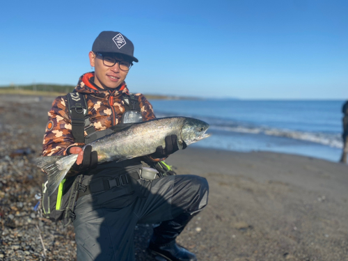 シロザケの釣果