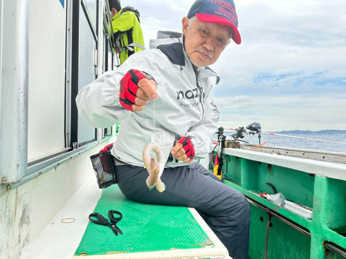 ウミヘビの釣果