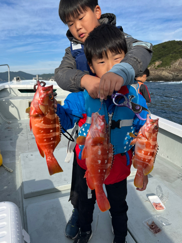 アカハタの釣果