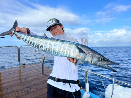 オキサワラの釣果