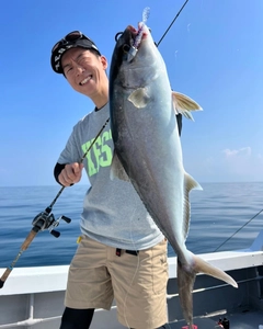 カンパチの釣果