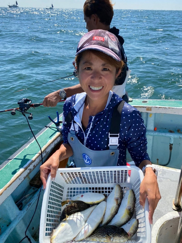 ショウサイフグの釣果