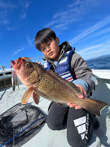 オオモンハタの釣果