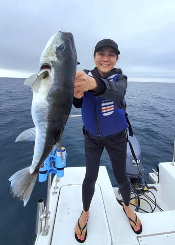 フグの釣果