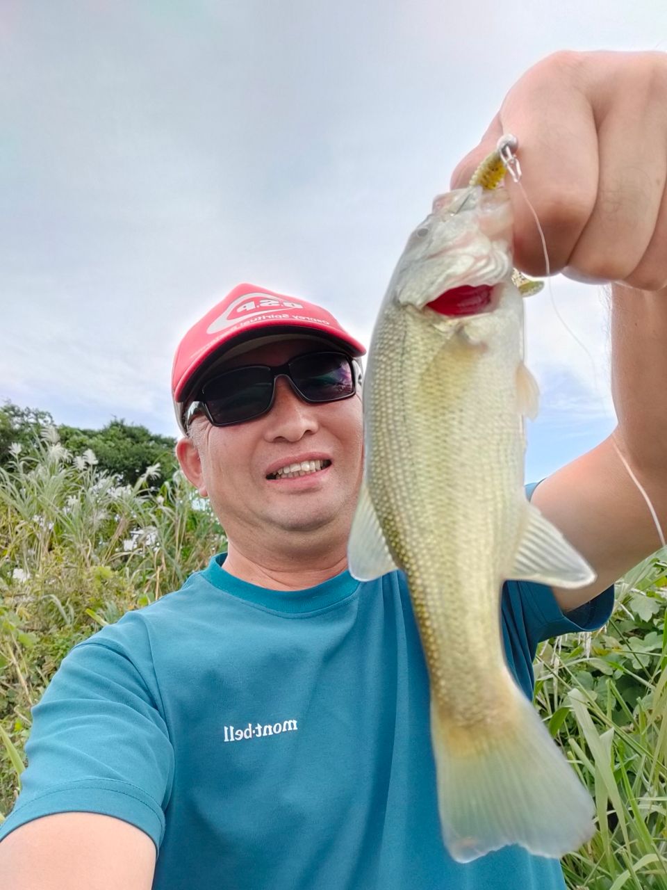 ラージマウスバス