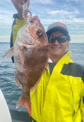 マダイの釣果