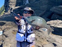 メジナの釣果