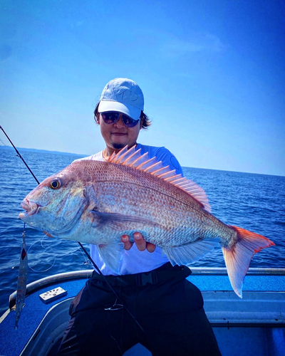 タイの釣果