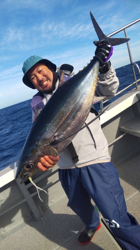 ビンチョウマグロの釣果