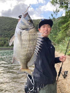 ミナミクロダイの釣果