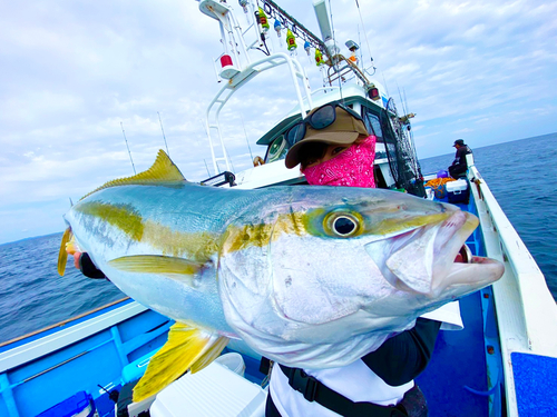 ヒラマサの釣果