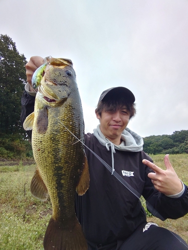 ラージマウスバスの釣果