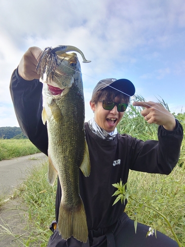 ラージマウスバスの釣果