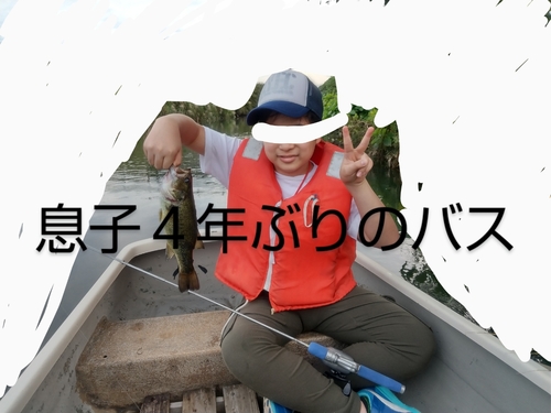 ラージマウスバスの釣果