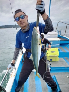 ハマチの釣果