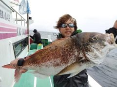 マダイの釣果