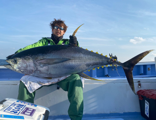 キハダマグロの釣果