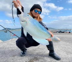 マクブの釣果