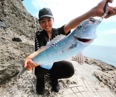 アオチビキの釣果