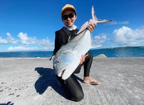 ロウニンアジの釣果