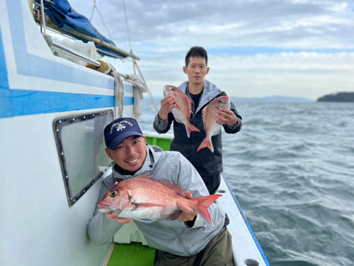 マダイの釣果