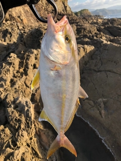 ネリゴの釣果