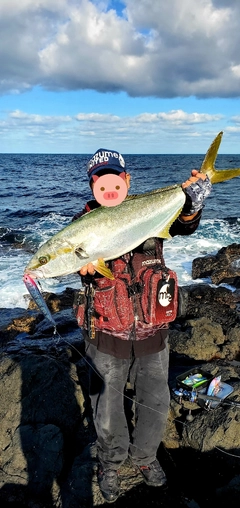 ヒラマサの釣果