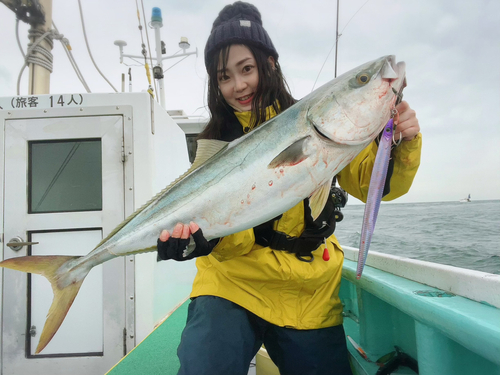 ブリの釣果