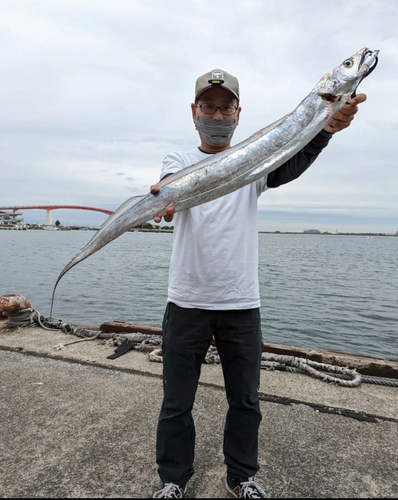 タチウオの釣果