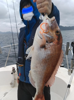 タイの釣果