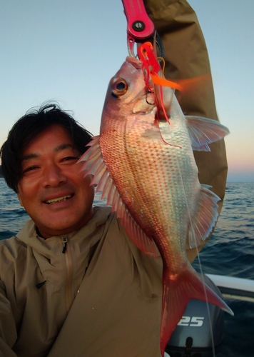 マダイの釣果