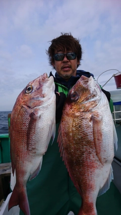 マダイの釣果