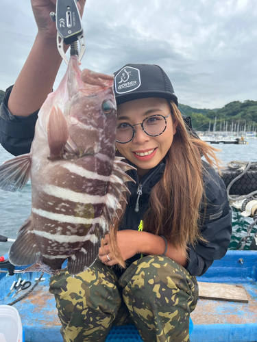 マハタの釣果