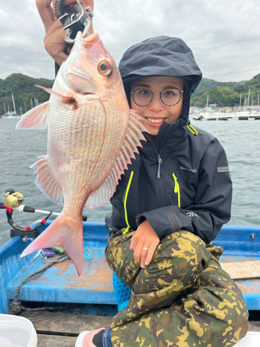 マダイの釣果