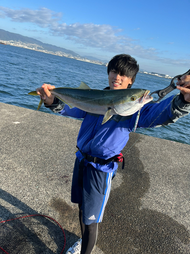 メジロの釣果