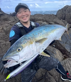 ヒラマサの釣果