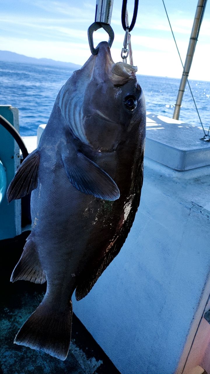 ジャックパパさんの釣果 2枚目の画像