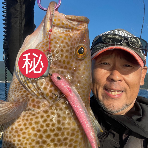 オオモンハタの釣果