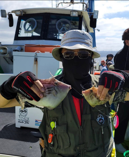 カワハギの釣果