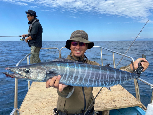 カマスサワラの釣果