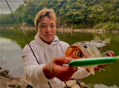 ブラックバスの釣果