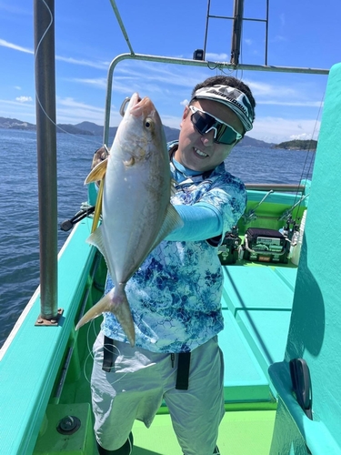 ショゴの釣果