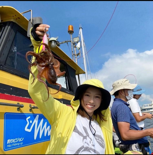 マダコの釣果