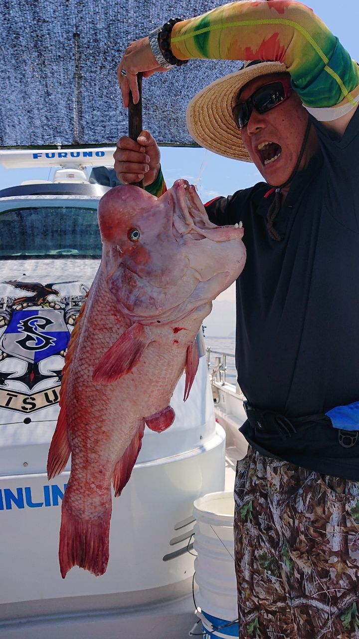 釣りバカ‼️さんの釣果 3枚目の画像