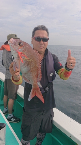 タイの釣果