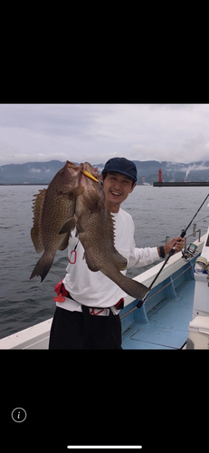 オオモンハタの釣果