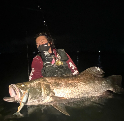 大分県で釣れたアカメの釣り・釣果情報 - アングラーズ | 釣果600万件の魚釣り情報サイト